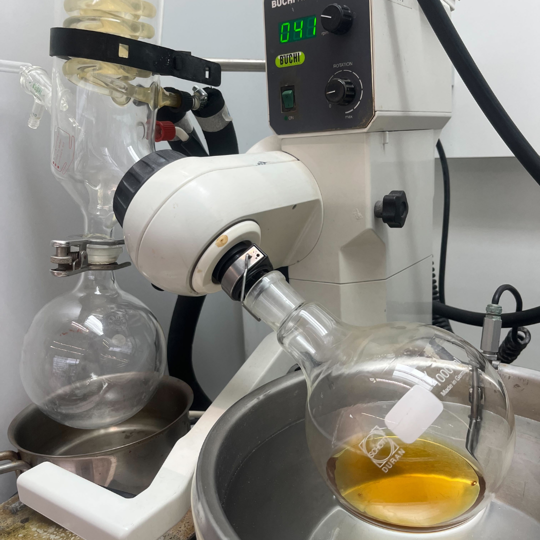 Arkive Labs - Additional SKU Analysis